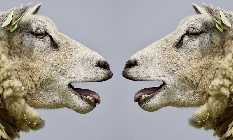 Communication